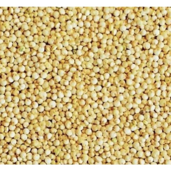 Bio fehér quinoa - 2,5 kg