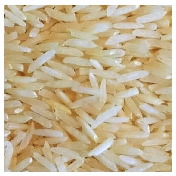 Bio basmati rizs, fehér - 5 kg